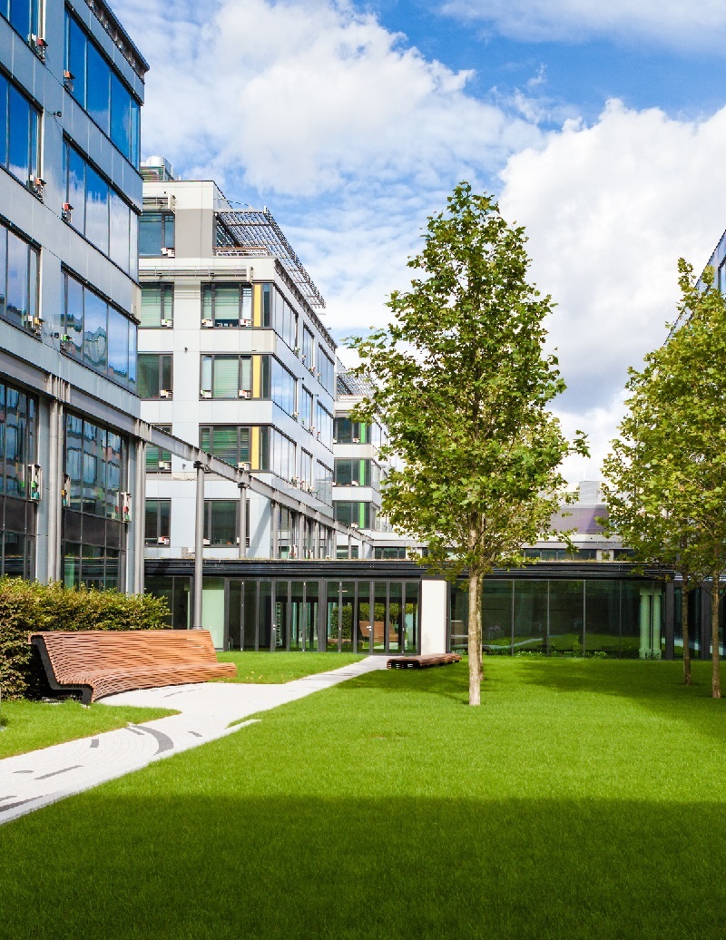 Modern office park with green lawn, trees and bench